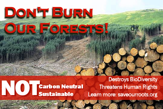 URGENT! Tell Your Senators; Don’t BURN Our FORESTS For FUEL!
