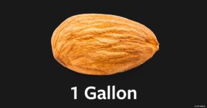 One gallon of water for every nut harvested/consumed-counter arguments from growers try to explain it away but no matter how we try to justify the growth/reach of this form of mono-culture tree farming-we're doing it all wrong.